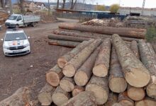 Rudolf Fekete | MyTex.ro