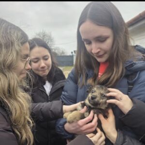 Adăpostul | MyTex.ro