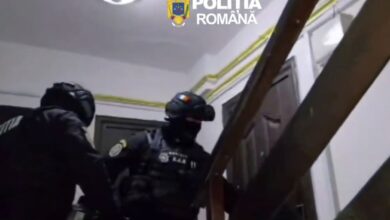 Instructorul de dans | MyTex.ro