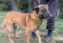 „Joc șmecheresc” cu sala de sport | MyTex.ro