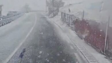 Ascensorul | MyTex.ro