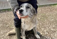 Conferinţă preoţească | MyTex.ro