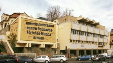 Când începe primăvara astronomică 2025. Cum ne influențează echinocțiul | MyTex.ro