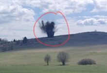 Fericirea | MyTex.ro