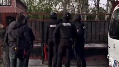 percheziții | MyTex.ro