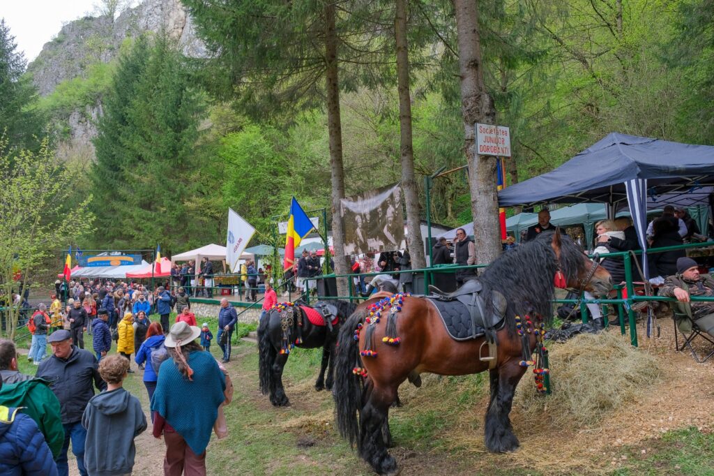 Restricţii de circulaţie | MyTex.ro