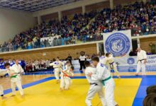 Kids Judo Cup