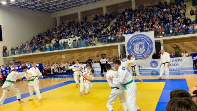 Kids Judo Cup