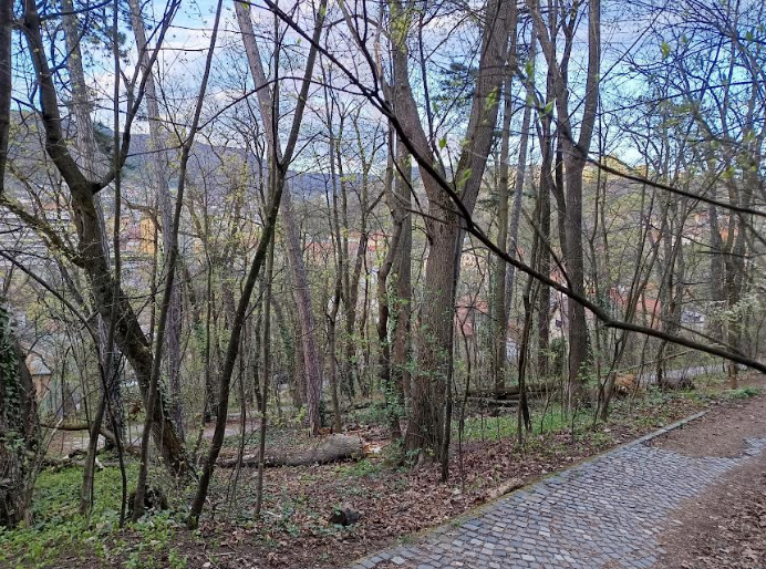 Cetățuia Brașovului: Începe șantierul. Când vom urca civilizat pe Dealul Straja? 7 Brașov | MyTex.ro