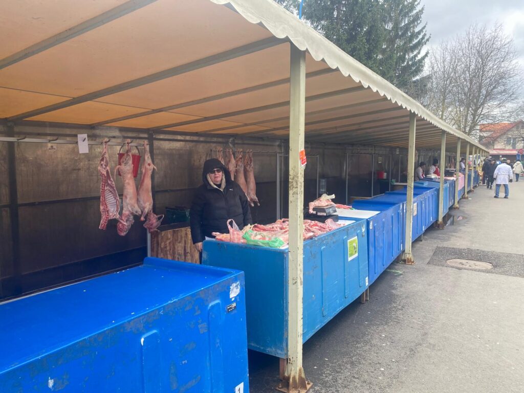 Au apărut mieii | MyTex.ro