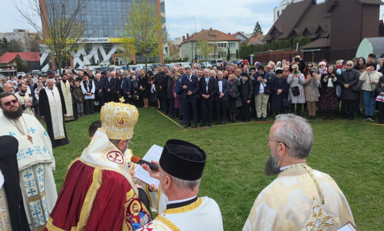 george scripcaru | MyTex.ro