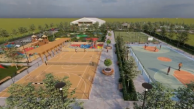 Ion Ţiriac | MyTex.ro