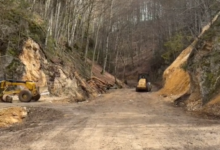 A murit scriitoarea Alice Munro | MyTex.ro