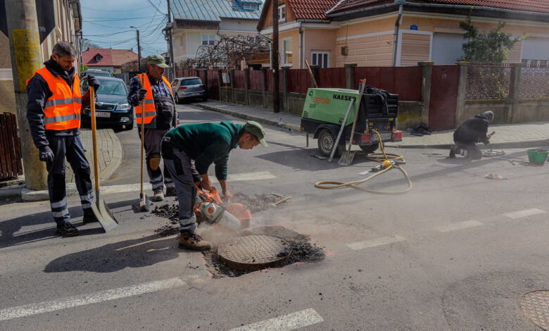 Făgăraș | MyTex.ro