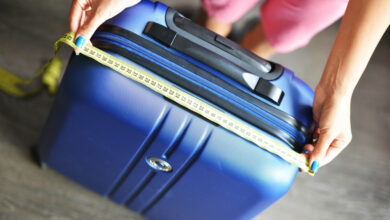6 caracteristici importante pentru un troler de călătorie de calitate 10 | MyTex.ro