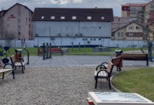 Ce e de făcut dacă pierdeți cardul social? | MyTex.ro