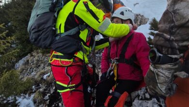 Piatra craiului | MyTex.ro