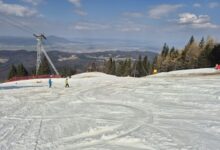 Profesori și directori din Brașov | MyTex.ro