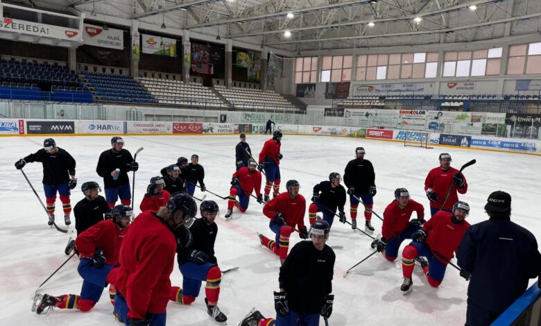 Cine transmite meciurile