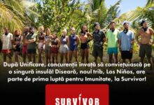 Survivor