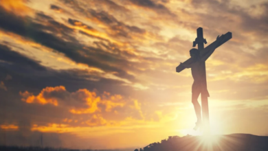 Vinerea Mare | MyTex.ro