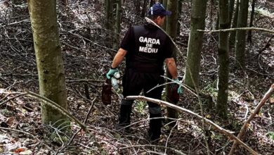 garda | MyTex.ro