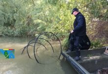 Cercetat penal | MyTex.ro