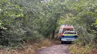 Accident | MyTex.ro