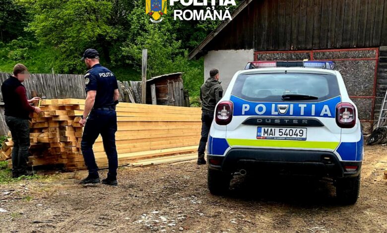 BRAȘOV. Zeci de metri cubi de lemn, confiscați de polițiști în Poiana Mărului 3 Lemn | MyTex.ro