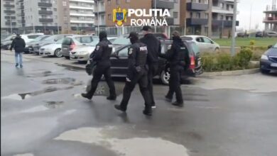 Urmărit | MyTex.ro