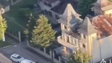 VIDEO. Descinderi în București și trei județe! Polițiștii au găsit arme, substanțe ilegale și obiecte periculoase 5 | MyTex.ro