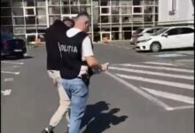 Tânăr | MyTex.ro