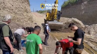 Percheziții | MyTex.ro