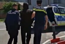Zizin | MyTex.ro