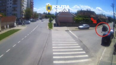 Zizin | MyTex.ro