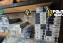Instructorul de dans | MyTex.ro