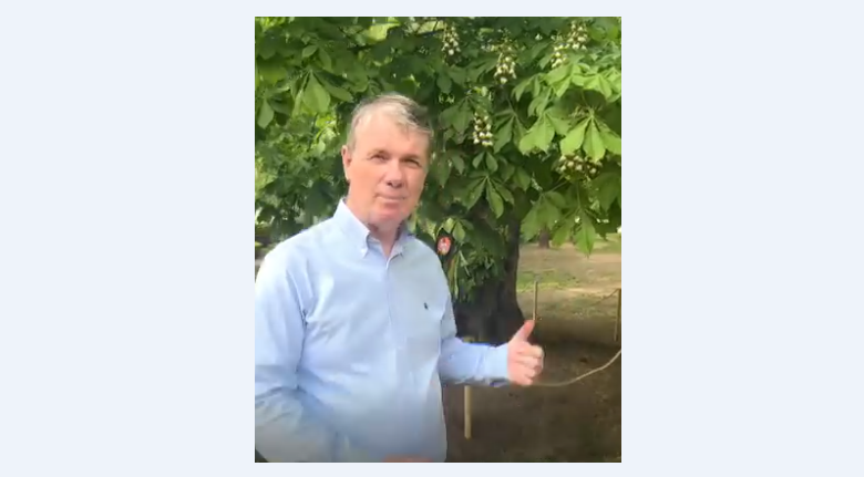 Premieră absolută în România, la Brașov! Un simbol al orașului, vechi de 250 de ani, salvat de la tăiere printr-o metodă revoluționară adusă din Italia 5 Braşov | MyTex.ro