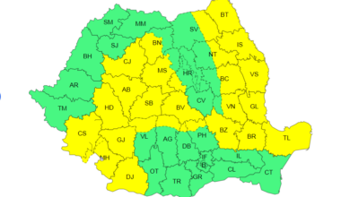 Brașov | MyTex.ro