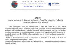 ANUNȚ privind atribuirea în folosință a pășunii „Pârâul lui Mămăligă” aflată în domeniul privat al UAT Codlea 4 | MyTex.ro