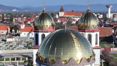 braşov | MyTex.ro