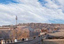 Corona Brașov | MyTex.ro