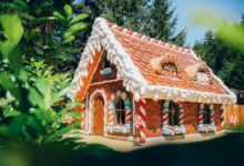 brașov | MyTex.ro