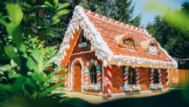 Magic Parc Râșnov, Locul I la categoria „Joacă și Adrenalină” în cadrul Galei Destinația Anului 2026 7 brașov | MyTex.ro