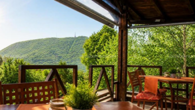 braşov | MyTex.ro