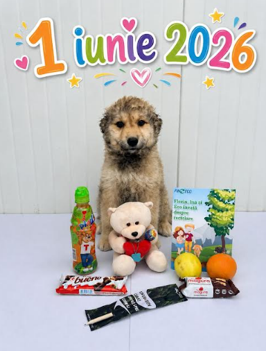 De Ziua Copilului, FIN-ECO și Asociația Milioane de Prieteni au organizat un eveniment dedicat adopției responsabile și educației pentru mediu 9 | MyTex.ro