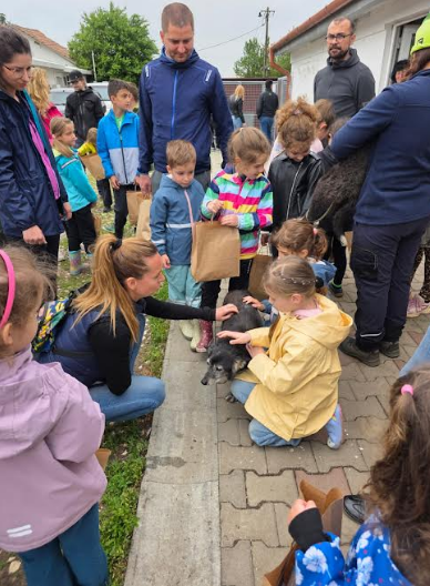 De Ziua Copilului, FIN-ECO și Asociația Milioane de Prieteni au organizat un eveniment dedicat adopției responsabile și educației pentru mediu 10 | MyTex.ro