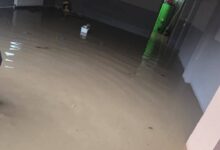 Furtuna a făcut ravagii în Covasna: copaci doborâți, gospodării inundate și un accident cu șase victime 3 | MyTex.ro
