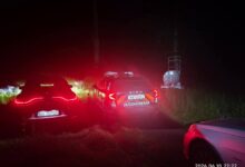 Brașov: Urs care a intrat în gospodării din Râșnov, eutanasiat 5 | MyTex.ro
