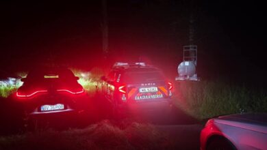 Brașov: Urs care a intrat în gospodării din Râșnov, eutanasiat 6 | MyTex.ro