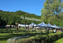 Atenție, brașoveni! Zona de grătare de la Lacul Noua este închisă astăzi 3 peste 11.000 | MyTex.ro